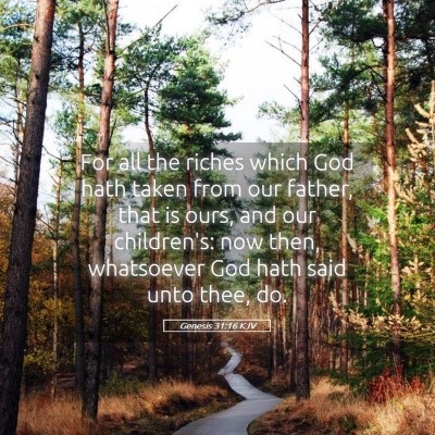Picture 05 - Genesis 31:16 KJV - For all the riches which God hath taken from our - Bible Verse Picture