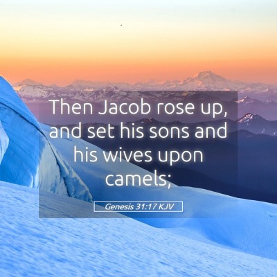 Picture 05 - Genesis 31:17 KJV - Then Jacob rose up, and set his sons and his - Bible Verse Picture