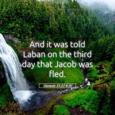 Picture 05 - Genesis 31:22 KJV - And it was told Laban on the third day that Jacob - Bible Verse Picture