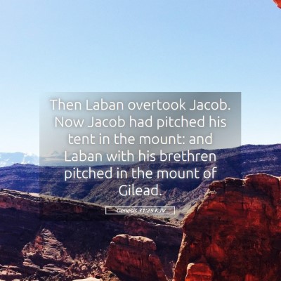 Picture 05 - Genesis 31:25 KJV - Then Laban overtook Jacob. Now Jacob had pitched - Bible Verse Picture