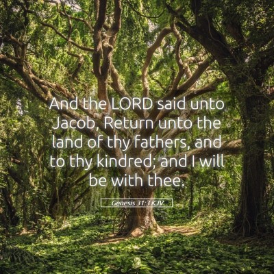 Picture 05 - Genesis 31:3 KJV - And the LORD said unto Jacob, Return unto the - Bible Verse Picture