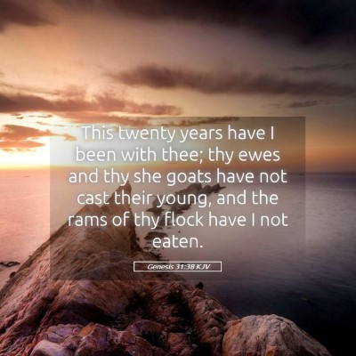 Picture 05 - Genesis 31:38 KJV - This twenty years have I been with thee; thy ewes - Bible Verse Picture