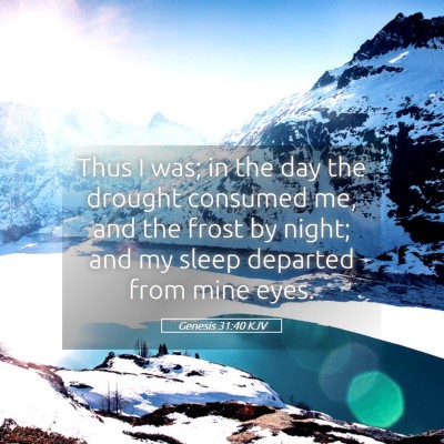 Picture 05 - Genesis 31:40 KJV - Thus I was; in the day the drought consumed me, - Bible Verse Picture