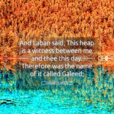Picture 05 - Genesis 31:48 KJV - And Laban said, This heap is a witness between me - Bible Verse Picture