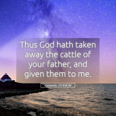 Picture 05 - Genesis 31:9 KJV - Thus God hath taken away the cattle of your - Bible Verse Picture