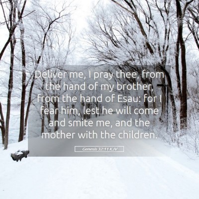 Picture 05 - Genesis 32:11 KJV - Deliver me, I pray thee, from the hand of my - Bible Verse Picture