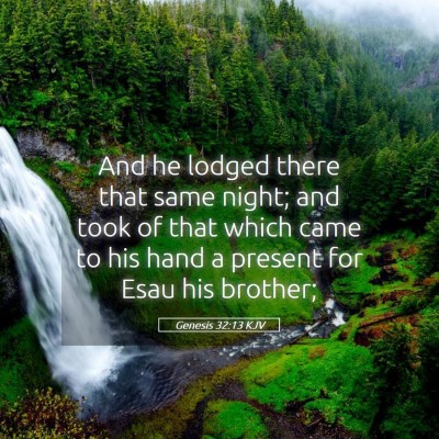 Picture 05 - Genesis 32:13 KJV - And he lodged there that same night; and took of - Bible Verse Picture