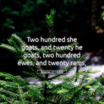 Picture 05 - Genesis 32:14 KJV - Two hundred she goats, and twenty he goats, two - Bible Verse Picture