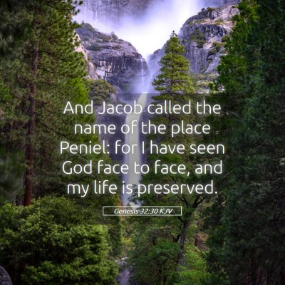 Picture 05 - Genesis 32:30 KJV - And Jacob called the name of the place Peniel: - Bible Verse Picture