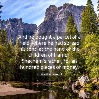 Picture 05 - Genesis 33:19 KJV - And he bought a parcel of a field, where he had - Bible Verse Picture