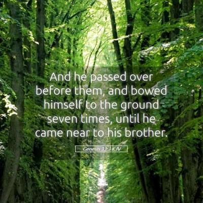 Picture 05 - Genesis 33:3 KJV - And he passed over before them, and bowed himself - Bible Verse Picture