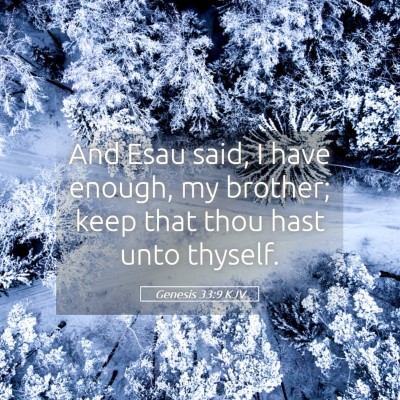 Picture 05 - Genesis 33:9 KJV - And Esau said, I have enough, my brother; keep - Bible Verse Picture