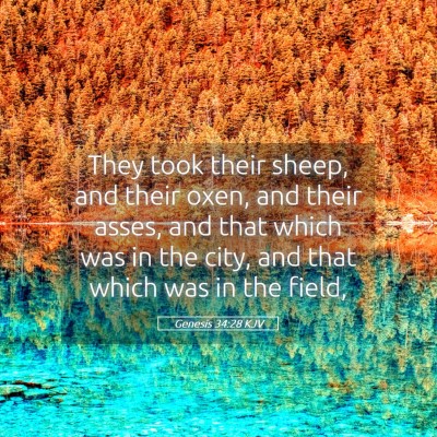 Picture 05 - Genesis 34:28 KJV - They took their sheep, and their oxen, and their - Bible Verse Picture