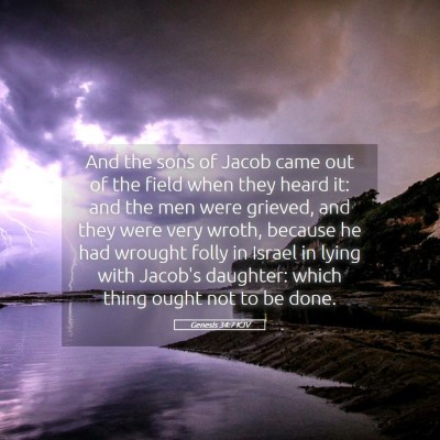 Picture 05 - Genesis 34:7 KJV - And the sons of Jacob came out of the field when - Bible Verse Picture