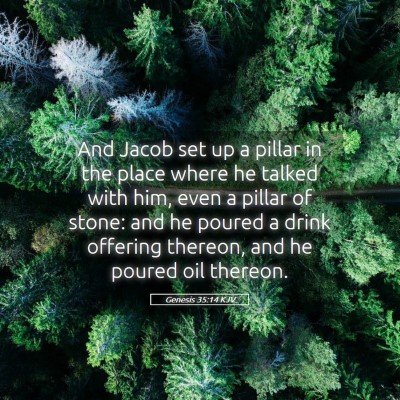 Picture 05 - Genesis 35:14 KJV - And Jacob set up a pillar in the place where he - Bible Verse Picture