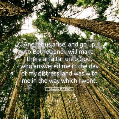 Picture 05 - Genesis 35:3 KJV - And let us arise, and go up to Bethel; and I will - Bible Verse Picture