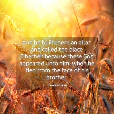 Picture 05 - Genesis 35:7 KJV - And he built there an altar, and called the place - Bible Verse Picture
