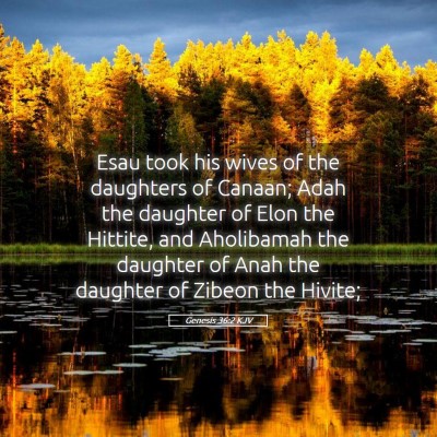Picture 05 - Genesis 36:2 KJV - Esau took his wives of the daughters of Canaan; - Bible Verse Picture