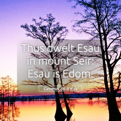 Picture 05 - Genesis 36:8 KJV - Thus dwelt Esau in mount Seir: Esau is - Bible Verse Picture