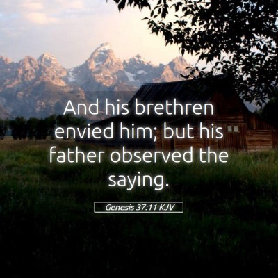 Picture 05 - Genesis 37:11 KJV - And his brethren envied him; but his father - Bible Verse Picture