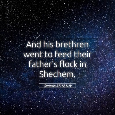 Picture 05 - Genesis 37:12 KJV - And his brethren went to feed their father's - Bible Verse Picture