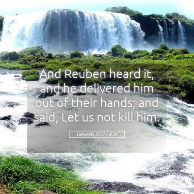 Picture 05 - Genesis 37:21 KJV - And Reuben heard it, and he delivered him out of - Bible Verse Picture