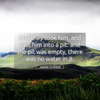 Picture 05 - Genesis 37:24 KJV - And they took him, and cast him into a pit: and - Bible Verse Picture