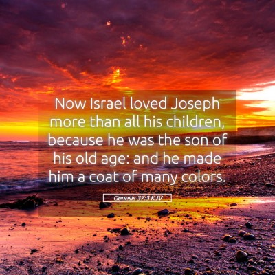 Picture 05 - Genesis 37:3 KJV - Now Israel loved Joseph more than all his - Bible Verse Picture