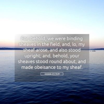 Picture 05 - Genesis 37:7 KJV - For, behold, we were binding sheaves in the - Bible Verse Picture