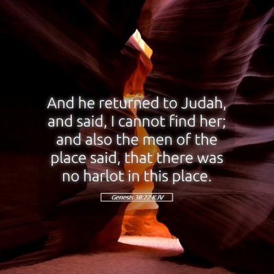 Picture 05 - Genesis 38:22 KJV - And he returned to Judah, and said, I cannot find - Bible Verse Picture