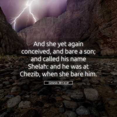Picture 05 - Genesis 38:5 KJV - And she yet again conceived, and bare a son; and - Bible Verse Picture