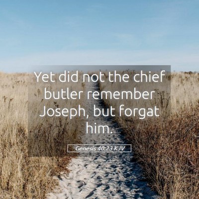Picture 05 - Genesis 40:23 KJV - Yet did not the chief butler remember Joseph, but - Bible Verse Picture