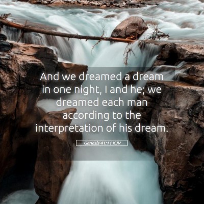 Picture 05 - Genesis 41:11 KJV - And we dreamed a dream in one night, I and he; we - Bible Verse Picture