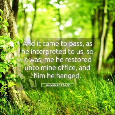 Picture 05 - Genesis 41:13 KJV - And it came to pass, as he interpreted to us, so - Bible Verse Picture