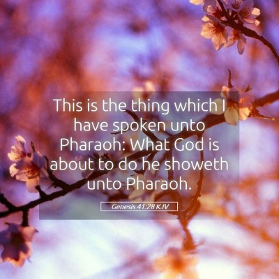 Picture 05 - Genesis 41:28 KJV - This is the thing which I have spoken unto - Bible Verse Picture