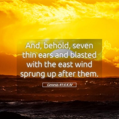 Picture 05 - Genesis 41:6 KJV - And, behold, seven thin ears and blasted with the - Bible Verse Picture