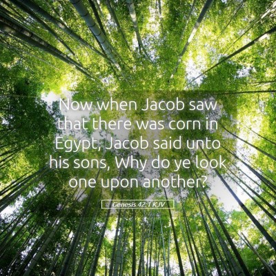 Picture 05 - Genesis 42:1 KJV - Now when Jacob saw that there was corn in Egypt, - Bible Verse Picture
