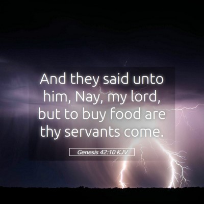 Picture 05 - Genesis 42:10 KJV - And they said unto him, Nay, my lord, but to buy - Bible Verse Picture