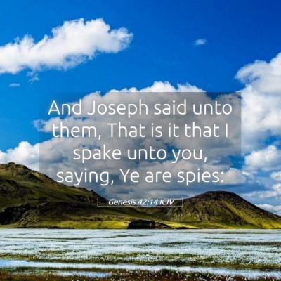 Picture 05 - Genesis 42:14 KJV - And Joseph said unto them, That is it that I - Bible Verse Picture