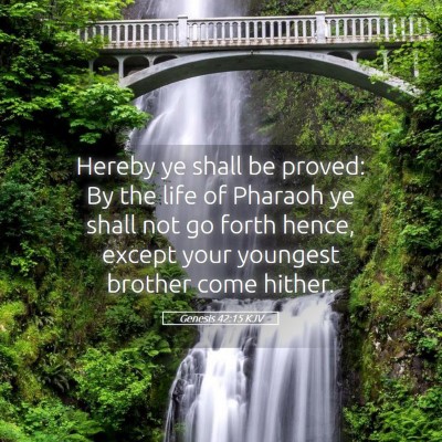 Picture 05 - Genesis 42:15 KJV - Hereby ye shall be proved: By the life of Pharaoh - Bible Verse Picture
