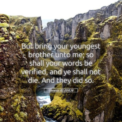 Picture 05 - Genesis 42:20 KJV - But bring your youngest brother unto me; so shall - Bible Verse Picture