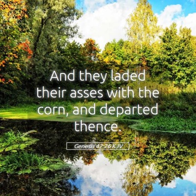 Picture 05 - Genesis 42:26 KJV - And they laded their asses with the corn, and - Bible Verse Picture
