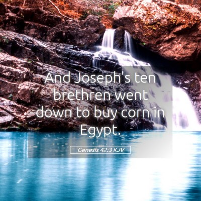 Picture 05 - Genesis 42:3 KJV - And Joseph's ten brethren went down to buy corn - Bible Verse Picture