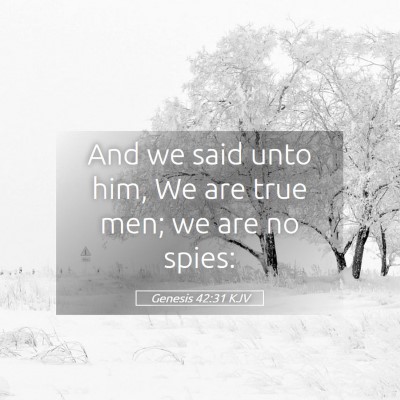 Picture 05 - Genesis 42:31 KJV - And we said unto him, We are true men; we are no - Bible Verse Picture