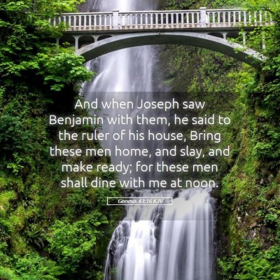 Picture 05 - Genesis 43:16 KJV - And when Joseph saw Benjamin with them, he said - Bible Verse Picture