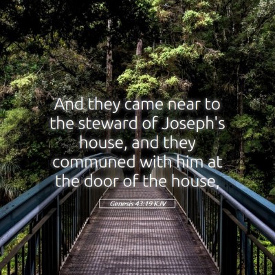 Picture 05 - Genesis 43:19 KJV - And they came near to the steward of Joseph's - Bible Verse Picture
