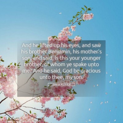 Picture 05 - Genesis 43:29 KJV - And he lifted up his eyes, and saw his brother - Bible Verse Picture