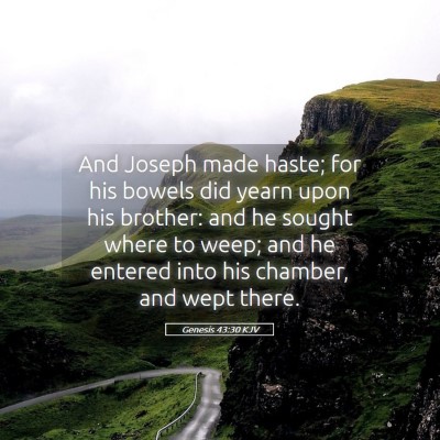 Picture 05 - Genesis 43:30 KJV - And Joseph made haste; for his bowels did yearn - Bible Verse Picture