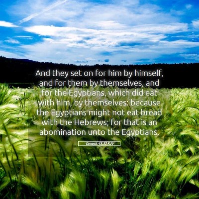 Picture 05 - Genesis 43:32 KJV - And they set on for him by himself, and for them - Bible Verse Picture