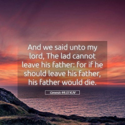 Picture 05 - Genesis 44:22 KJV - And we said unto my lord, The lad cannot leave - Bible Verse Picture